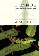 Lizards in an Evolutionary Tree cover image