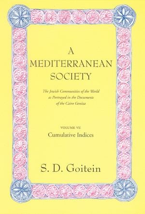 A Mediterranean Society, Volume VI by S. D. Goitein