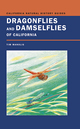 Field Guide To Butterflies Of The San Francisco Bay And