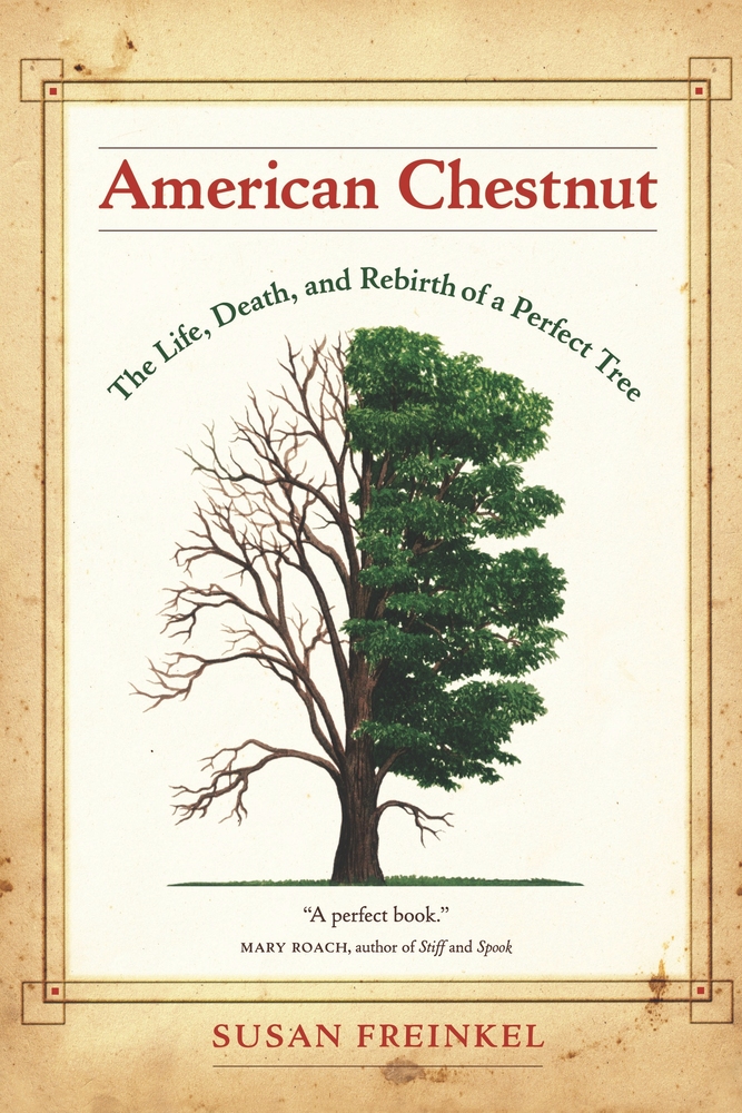 Image result for american chestnut book cover